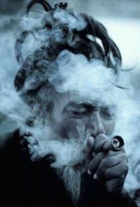 አቢ የአሹ ልጅ