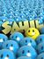 Sahil R...
