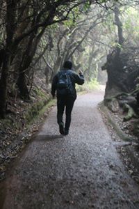 Daniel Ulate Montero