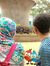 Ridha F...