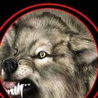 مروان الضبع