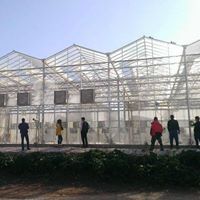 Phong Người Tiên