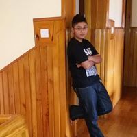 Aditya Dhamala