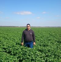 محمد الحصرى