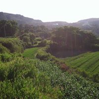 ابواسكندر الحيدري