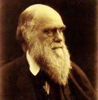 محمد ابراهيم