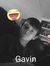 Gavin C...