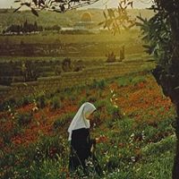 Al-Zaĥŕăå Ţaŷeb