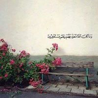 عبدالله حسن