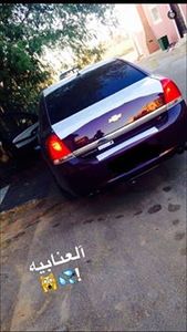 محمد الشهري