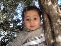 عبير أم حسان