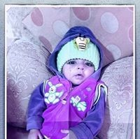 Naveed Shad Barech