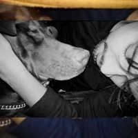 राहुल उपाध्याय