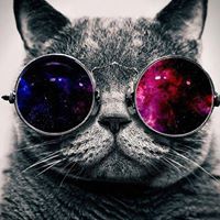 Δημήτρης Κουμπούρας