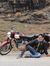 Ansar H...