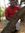 Pradeep...
