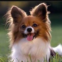 ᎯᏌᏁᎯ ᏌᏁᎯᏌ