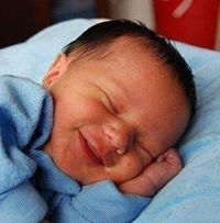 جمال المصرى