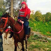Nermin Qa'Ed