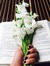 Anum Ahmad