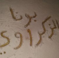 أحمد أبوعزوم