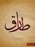 Tarek M...