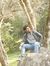 Azt Gautam