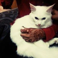 Tasnim Rashid