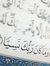 Marwa S...