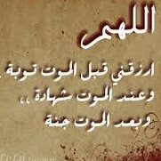 Mostafa Elnagar