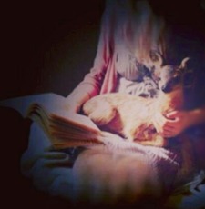 منال الهاشمي