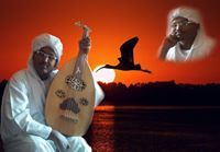 Emad Almgbool Sulfab