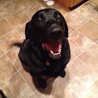 Darcy Pendell Duncan