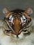 Gokul V...