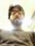 Ashar Baig