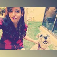 Daniela Percasteguui