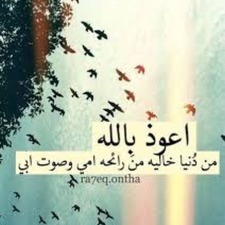Alaa