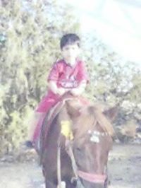 نوفل عبدالعزيز