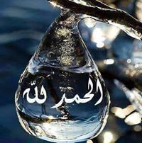 عصام عبدالمنعم