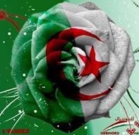 أسامة عبد الله