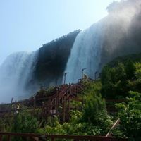 Lisa Alexander Blake