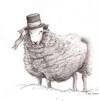 Sheep Lincoln