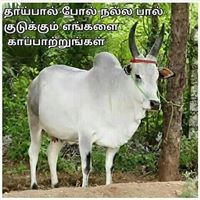 சின்னமுனியாண்டி கருப்பசாமி