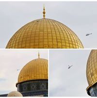 حماة الأقصى