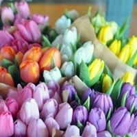 اقوى الأيام