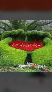 سلطان كانسر