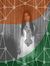 Annu Anand