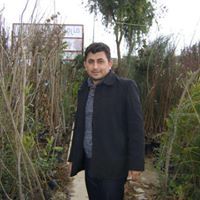 Karwan Rashid
