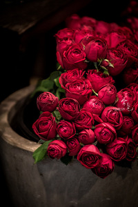 ماريا الأحمر