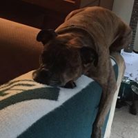 Courtney Diffenderfer